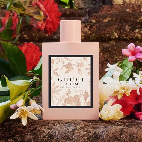 bloom de gucci|gucci bloom release date.